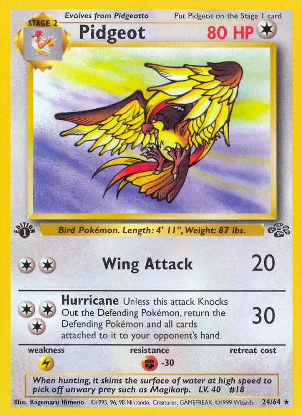 Carta Pidgeot, número 24/64 da coleção Selva
