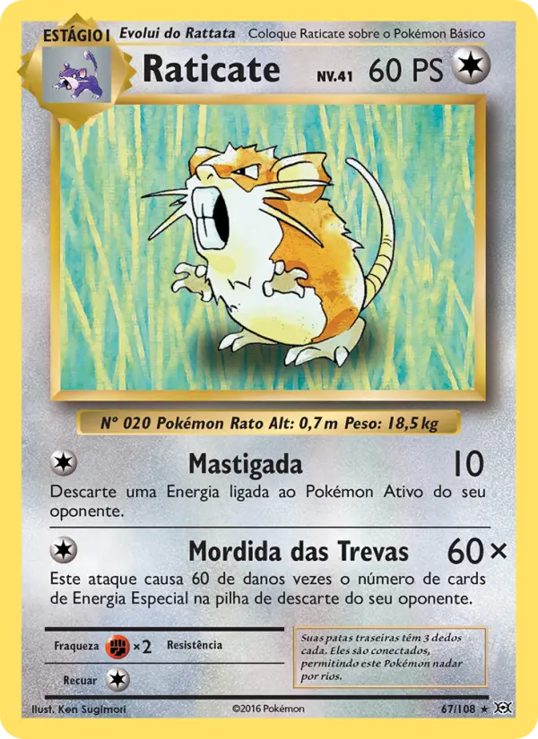 Carta Raticate, número 67/108 da coleção Evoluções
